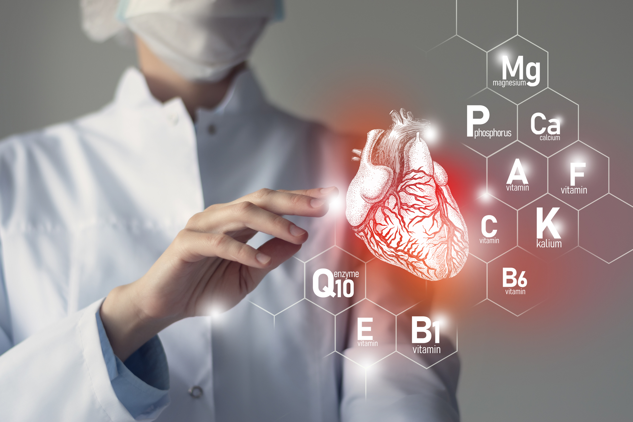 El modelo muestra el corazón, vitaminas y minerales y también la coenzima Q10.